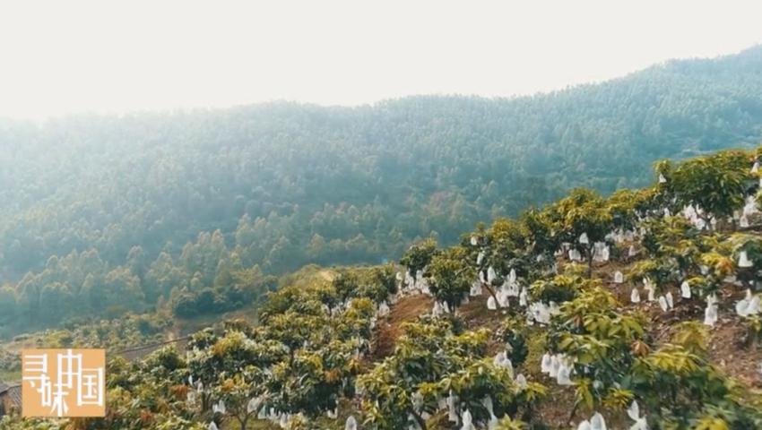 《寻味中国》第12集