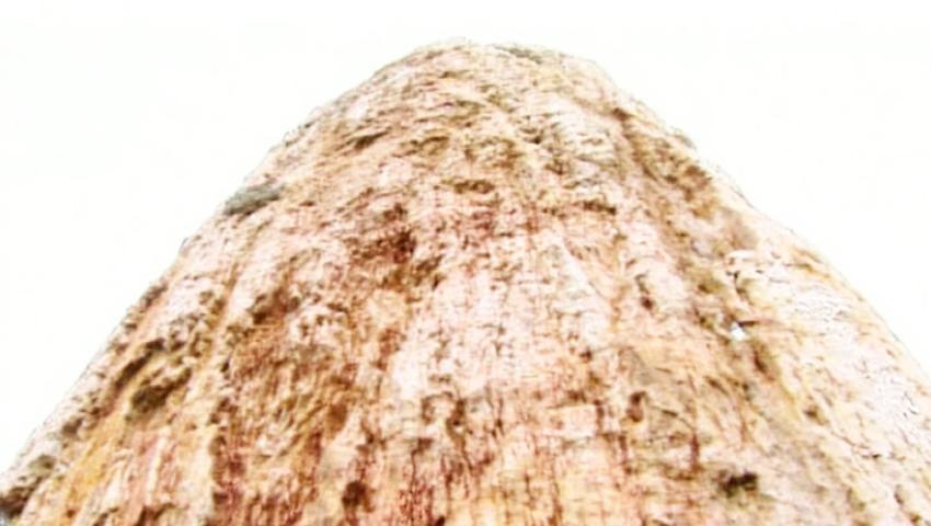 《变化的地球》第40集