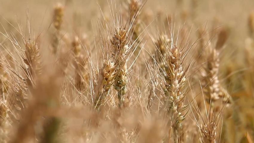 《二十四节气》第9集