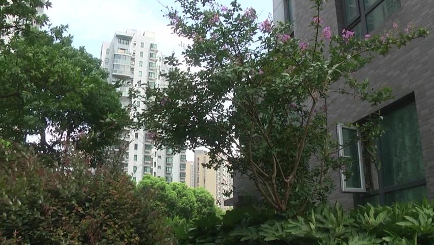 《法治天下 2019》第132集