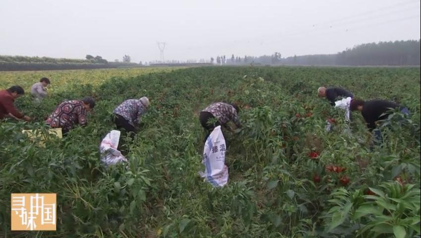 《寻味中国》第19集