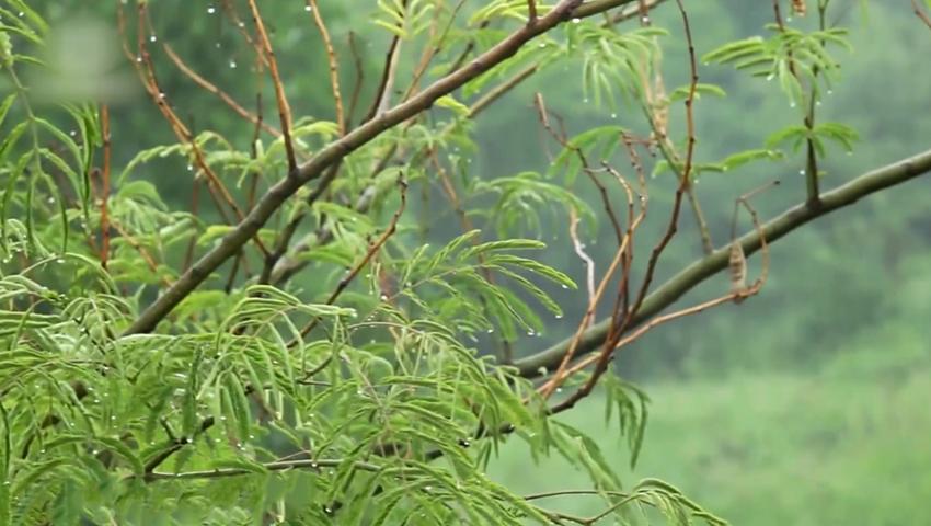 《二十四节气》第2集