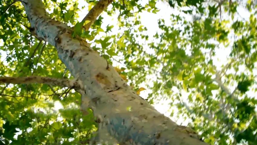 《二十四节气》第13集