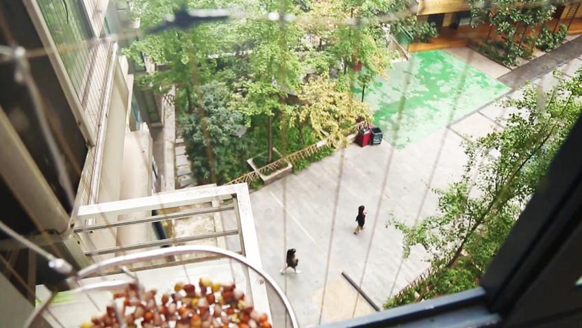 《法治天下 2017》第177集